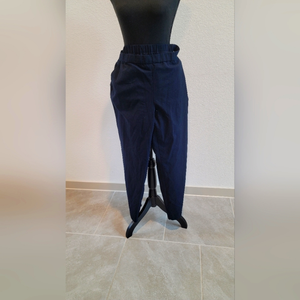 Briggs Petite Navy Slacks (12P)